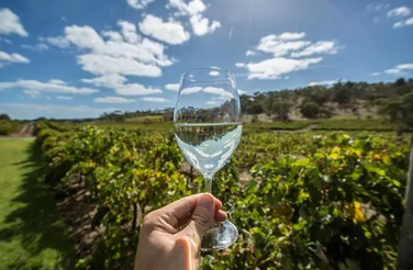 进口葡萄酒数量日益增加，澳洲葡萄酒占比大