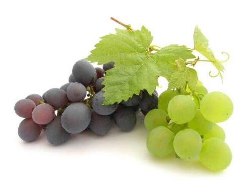 健康饮用葡萄酒 葡萄酒皮的特殊功效