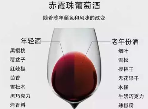 葡萄酒入门基础：葡萄酒界的七大共通语言