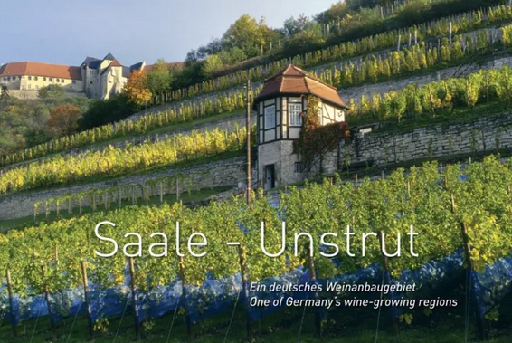 2017德国13大葡萄酒产区采收报告新鲜出炉：产量低，质量高