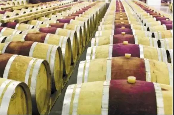 【Interwine酒展】南非精品酒协，“非”一般的葡萄酒魅力