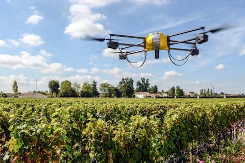 今年很多酒庄都把机器人引入葡萄园里耕作