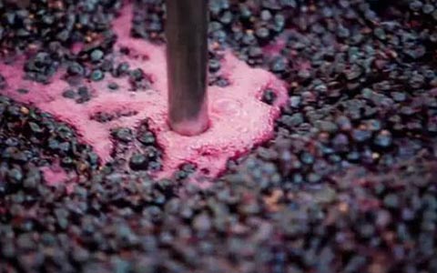 葡萄酒发酵需要什么样的温度？