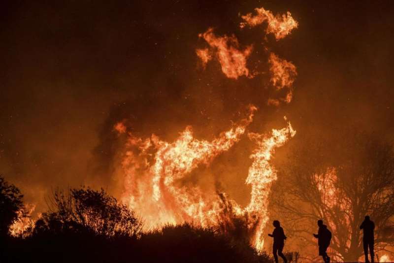 加州南部爆发森林大火，莫拉加酒庄遭受大火洗礼