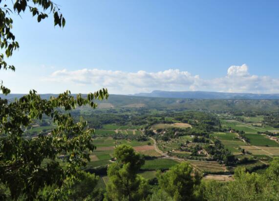 法国邦多勒产区：普罗旺斯最受国际认可的葡萄酒产区之一