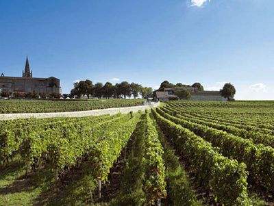 法国埃克斯丘区：普罗旺斯重要的葡萄酒次产区