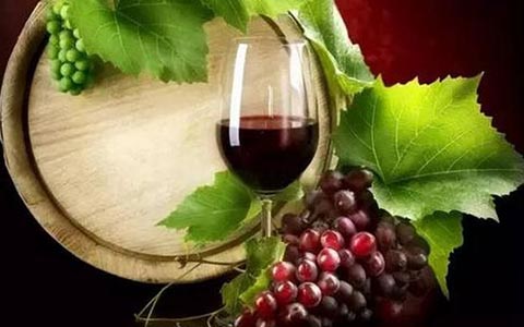 葡萄酒的做法之自酿葡萄酒的过程