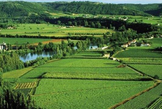  法国比泽(Buzet)产区——法国西南部的一个AOC