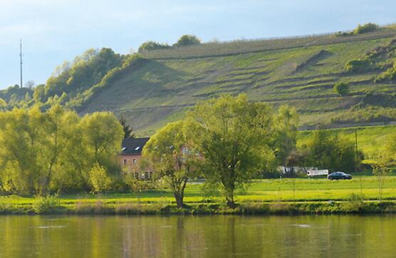 林克酒庄（Weingut Rinke）