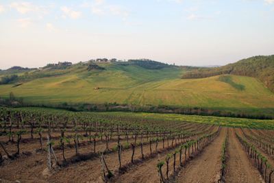 意大利阿斯蒂(Asti)产区：起泡酒的产区