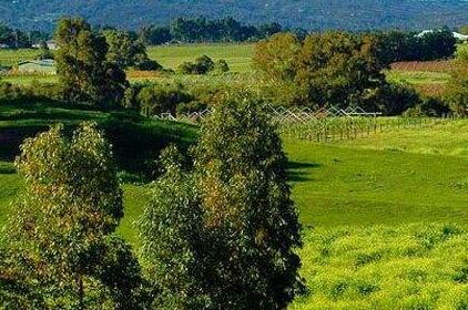 澳大利亚红酒文化之4大迷人的产区