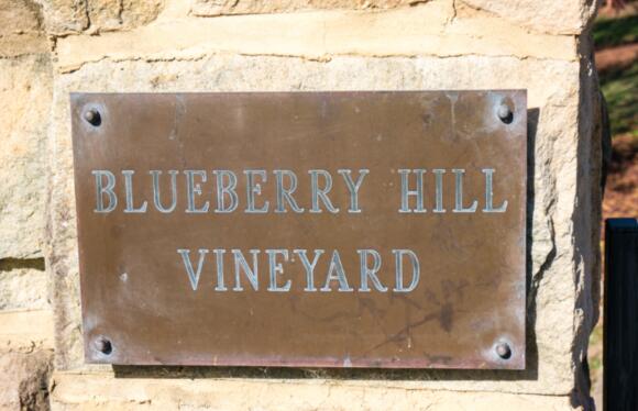 猎人山酒庄（Hunter Hill Vineyard & Winery）