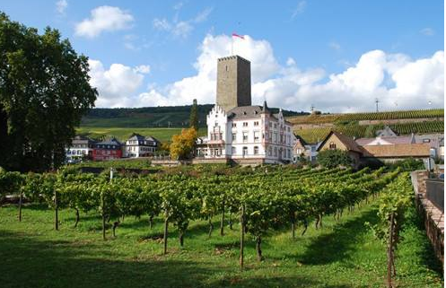 法兰克酒庄（Chateau de Francs）