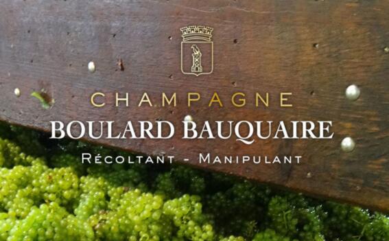 布拉尔·博盖香槟（Champagne Boulard-Bauquaire）