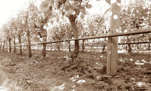 奥比崇酒庄（Aubichon Cellars）