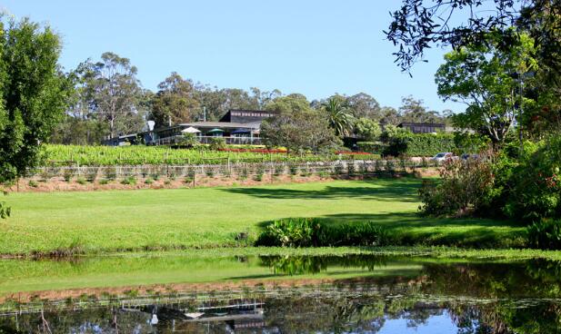 卡塞格林酒庄（Cassegrain Vineyards）