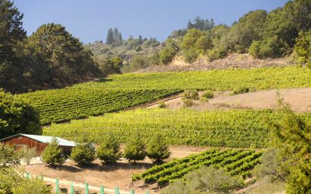  阿尔法罗家族酒庄（Alfaro Family Vineyard & Winery）