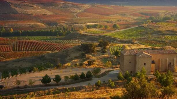 西班牙红酒历史，产区和知名品种介绍