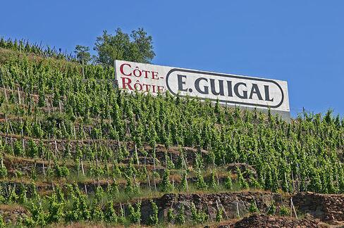 法国葡萄酒产区罗讷河谷的葡萄酒份额急剧上升
