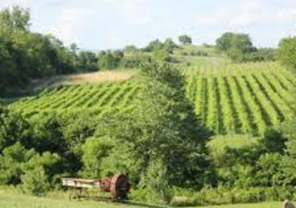 双橡木酒庄（Double Oak Vineyards & Winery）