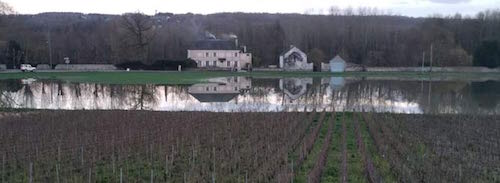 法国遭遇洪水泛滥，或影响当地酒庄