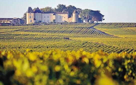 法国的经典产区葡萄酒介绍