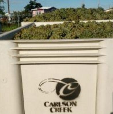 卡尔森溪酒庄（Carlson Creek Vineyard）