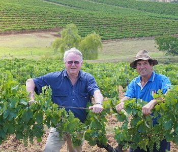 澳洲天瑞酒庄收购新南威尔士州葡萄园