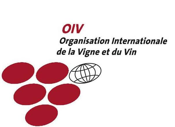 OIV总秘书处在总部接待不同培训项目的学生