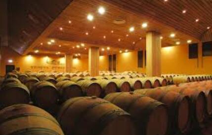 伯德诺酒庄——意大利托斯卡纳产区著名酒庄之一