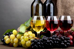 菜肴搭配葡萄酒的方法？