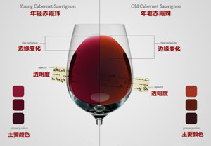 怎样从葡萄酒的颜色来初步判断葡萄酒品种呢？