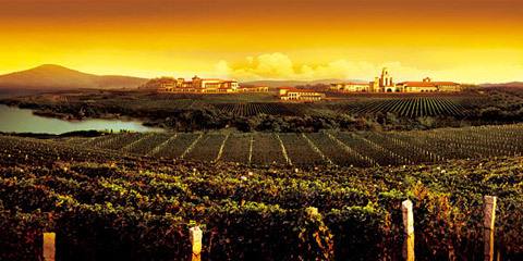 山东蓬莱将打造国际海岸性葡萄酒产区
