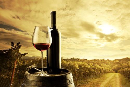 葡萄酒品种自带不同功能与疗效