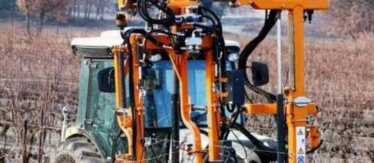 剪枝机器人能减少葡萄园工人们的工作量