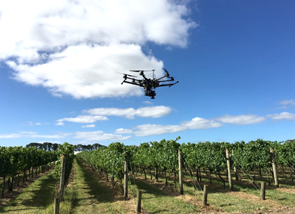 澳洲启用无人机监测葡萄园病虫害