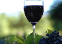 那些葡萄酒品酒术语里的翻译外来词汇，你知道吗？