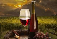 南美优质葡萄酒产区，你都知道哪些？