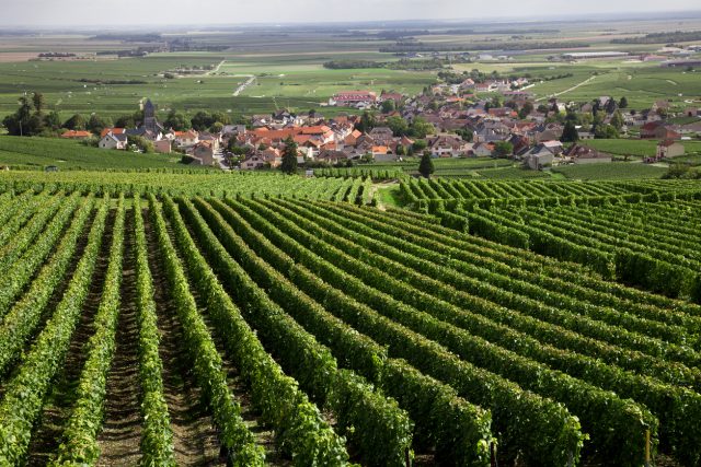 2017年勃艮第葡萄酒出口量保持增长势头