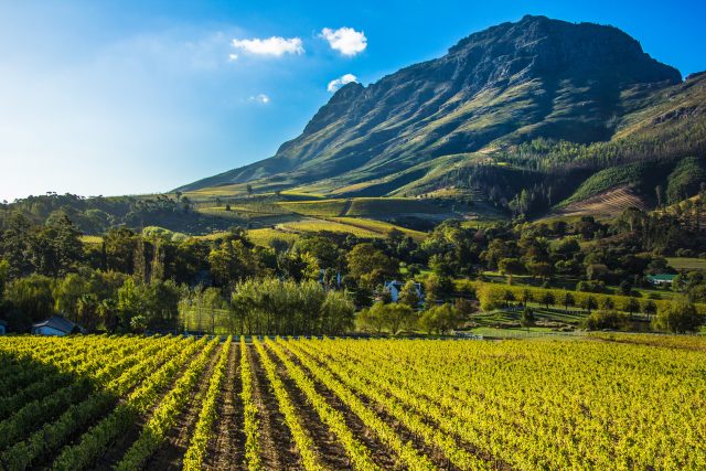 法国葡萄酒商ADVINI收购南非斯特兰德酒庄