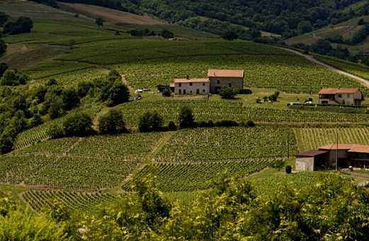 法国主要葡萄酒产区 法国葡萄酒十大产区