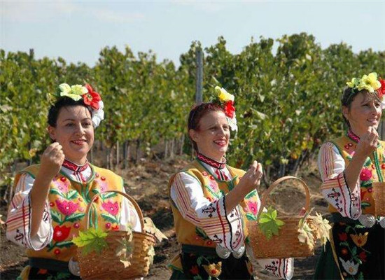 探索保加利亚葡萄酒