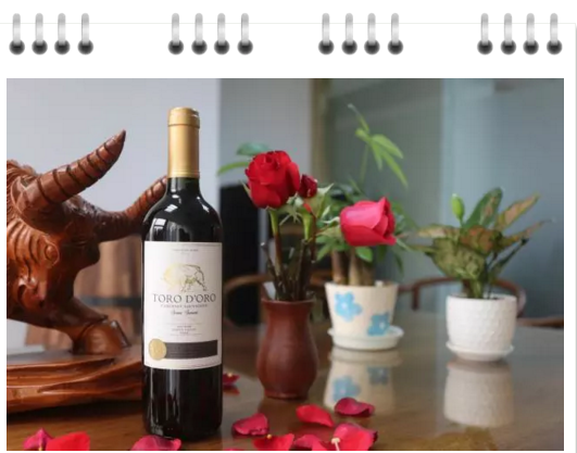 打造进口酒第一品牌，成就国际化葡萄酒企业--广州圣祖利贸易有限公司