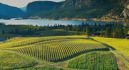  发现西澳大利亚最大的葡萄酒产区