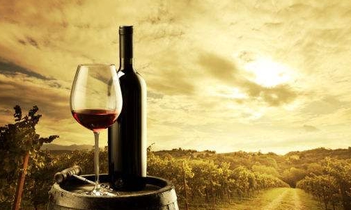 法国葡萄酒产区 深度了解法国葡萄酒