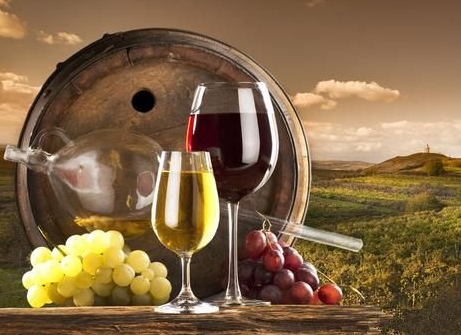 新西兰葡萄酒产区 新西兰葡萄酒的发展历史