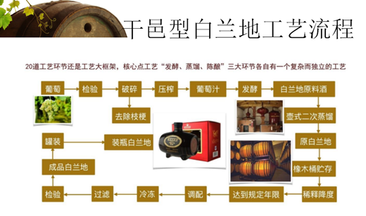 中国酿酒师联盟夏季技术培训活动将在今天正式拉开帷幕