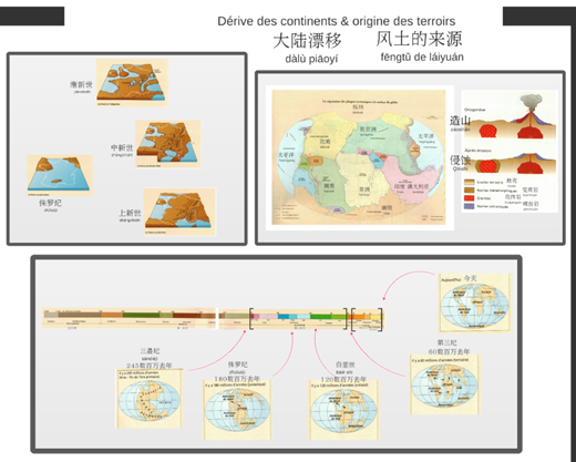 中国酿酒师联盟夏季技术培训活动将在今天正式拉开帷幕