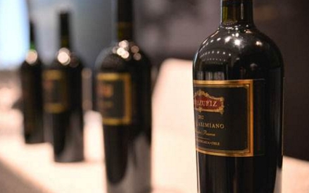 智利葡萄酒 南美洲最重要的葡萄酒生产国