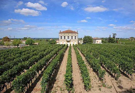 法国葡萄酒产区 波尔多红酒的成名之路
